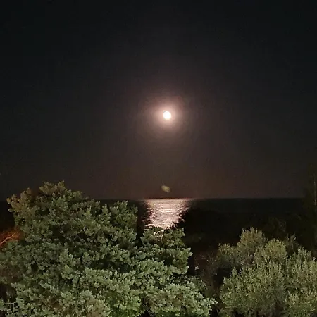 فندق Cyrnea Ville-di-Pietrabugno